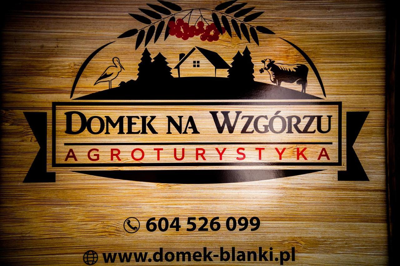 Domek Na Wzgorzu Blanki Lidzbark Warmiński Buitenkant foto